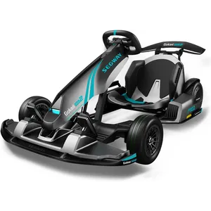 Segway-Ninebot GoKart Pro 2
