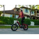 Velowave Pony - Image 4