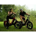 Velowave Pony - Image 5