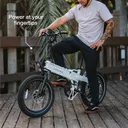 Lectric XP Lite2 (Standard (375Wh)) - Image 3