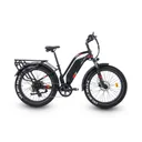 Ariel Rider Kepler - Image 3