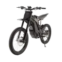 E Ride Pro SS 3.0