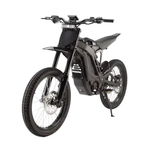 E Ride Pro SS 3.0 product photo
