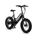 Pedego Element