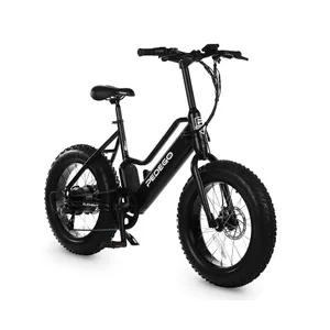 Pedego Element
