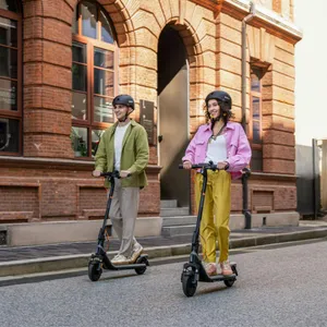 Segway-Ninebot E2 Plus II