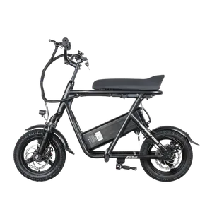 EMOVE RoadRunner SE