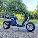 Citycoco M6 2-Seat 60V 4000W (Blue) - Image 1