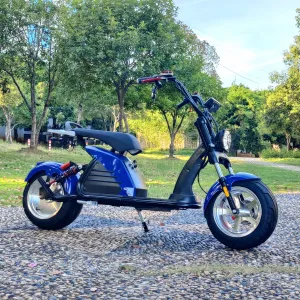 Citycoco M6 2-Seat 60V 4000W (Blue)