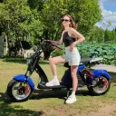 Citycoco M6 2-Seat 60V 4000W (Blue) - Image 3
