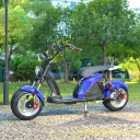 Citycoco M6 2-Seat 60V 4000W (Blue) - Image 4