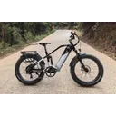Biktrix RogueHawk FS Step-Over - Image 4