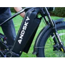 ANDSKY Rover X Single 60V 25Ah (Green) - Image 14