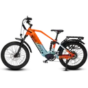 Biktrix RogueHawk FS Step-Over 2 - Image 3