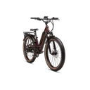 Rad Power Bikes Radster Trail (Large, Copper Red) - Image 2