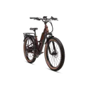 Rad Power Bikes Radster Trail (Large, Copper Red) - Image 6