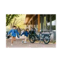 Rad Power Bikes RadWagon - Image 9