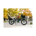 Rad Power Bikes RadWagon - Image 10