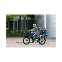 Rad Power Bikes RadWagon - Image 13