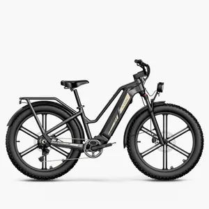 Fiido Titan (Extended (347km))