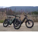 Biktrix Juggernaut FS Step-Thru Fat - Image 6