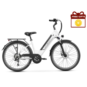JasionBike EB5 Roamer ST (Pale Green)