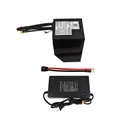 AMORGE 20S5P 25Ah 130A (EVE 50PL) - Image 10