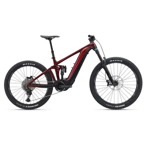 Giant Reign E+ 2 (2024)
