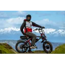 Ariel Rider Grizzly - Image 9