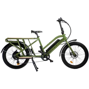 Biktrix Skycap 2 (Forest Green)