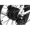 DYU C9 (White) - Image 9