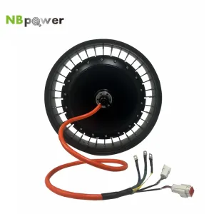 QS Motor QS273 40H (17")