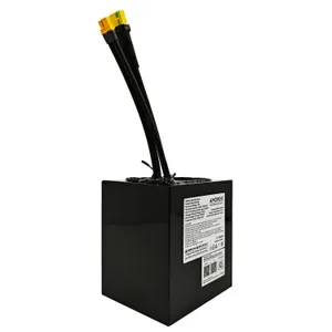 AMORGE 13S5P 20Ah 130A (EVE 40P)