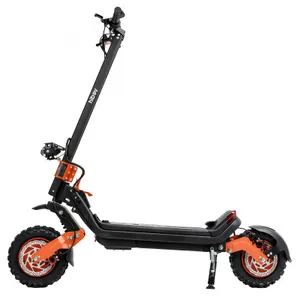 Hiboy DM1