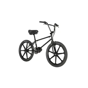Evolve Project BMX 2024 (Skyway Tuffs)