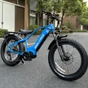 Biktrix Juggernaut Ultra Duo Pro Step-Thru - Image 6