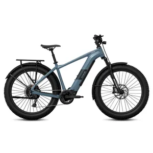Aventon Aventure M (Pacific)