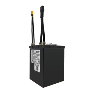 AMORGE 20S5P 20Ah 150A (EVE 40P)