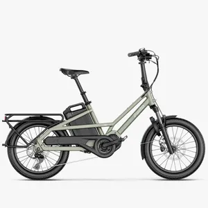 Fiido T3 Urban Family Cargo