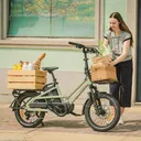 Fiido T3 Urban Family Cargo - Image 3
