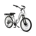 Pedego Interceptor Platinum Edition - Image 4
