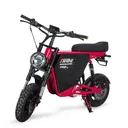 EMOVE RoadRunner Pro V2