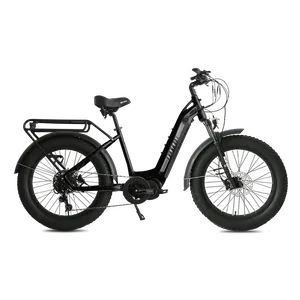 Biktrix Juggernaut Ultra Duo 3 Step-Thru