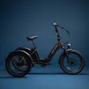 Lectric XP Trike2 (500W) - Image 2