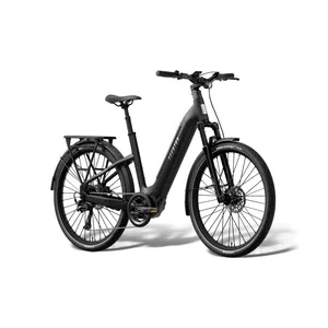 Aventon Level 4 ADV Step-Through (Haze)