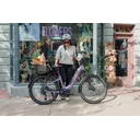 Aventon Level 4 ADV Step-Through (Haze) - Image 6