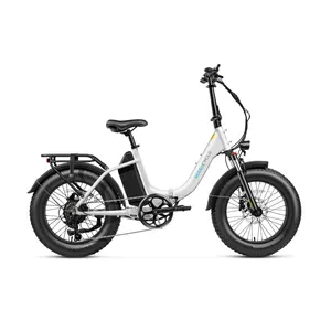 Magicycle Jaguarundi 2.0 product photo