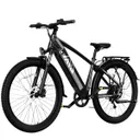 TST Flyer (Gray)