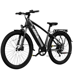 TST Flyer (Gray)