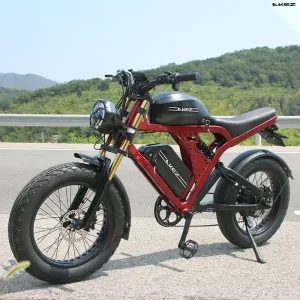 AKEZ 1500W Fat Tire Full-Suspension E-Bike (52V 55Ah)